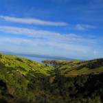 Coromandel