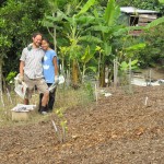 Our mulch area