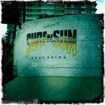 Surf n' Sun Hostel