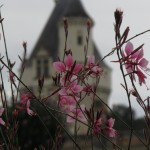 Marques Tower from Diane de Portiers' garden