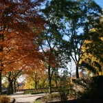 Castle garden path